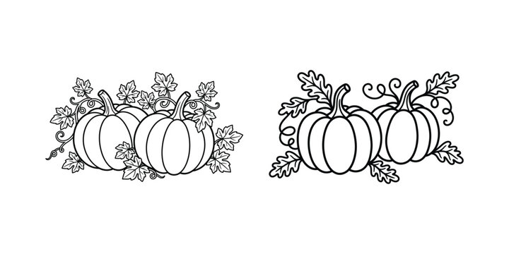 Black and white line art illustration featuring two clusters of pumpkins with vines and leaves for autumn design