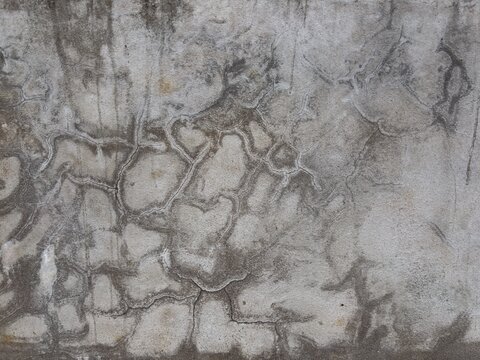 Cement wall background