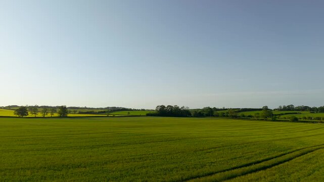 Spring Farmland extending across lush cereal crop beneath wide countryside horizon. Green agricultural landscape flowing through rolling fields and hedgerow boundaries. Productive wheat cultivation