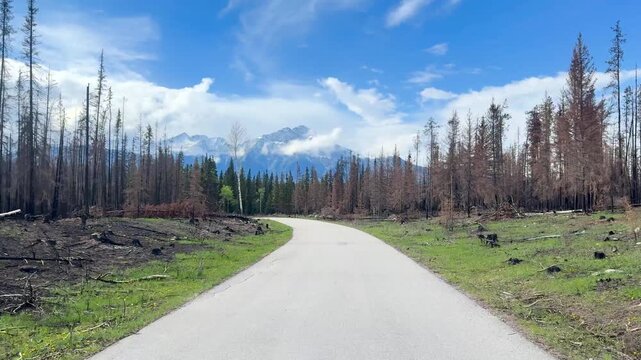 Handheld shot of a paved path winding through a forested area at Old Fort Point, Jasper National Park, under partly cloudy skies, evoking tranquility and vastness.