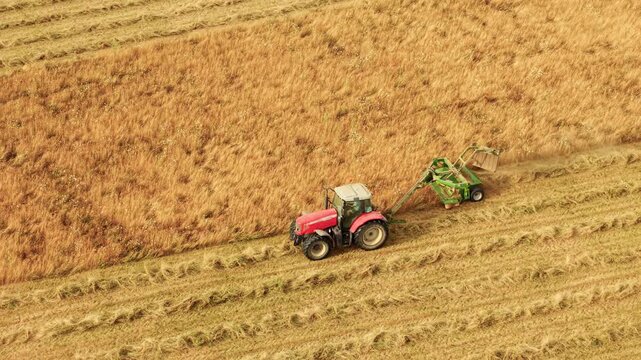 Grass cutting tractor working beside fresh hay windrows in cultivated farmland. Drone perspective follows mower across dry meadow. Winter feed preparation, forage management and livestock agriculture