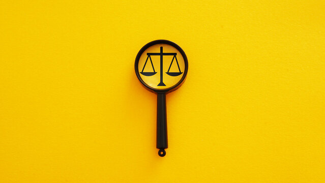 Legal analysis and pursuit of justice, examination of law and evidence, judicial expertise, legality assessment, regulatory review, legal investigation and fair decision making