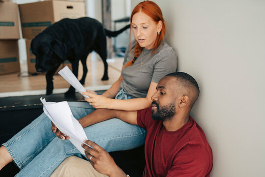 Diverse couple looking at paperwork with pet dog in background during relocation