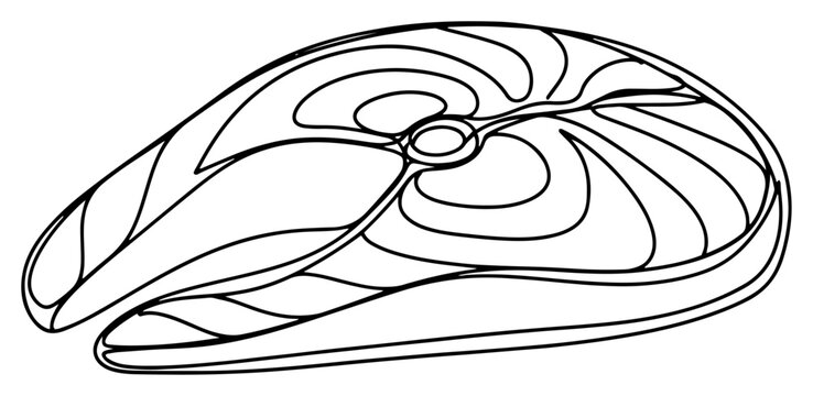 Salmon steak fish fillet slice in minimalist line art style