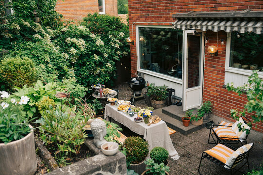 Outdoor dinner setup with variety of healthy dishes in cozy backyard