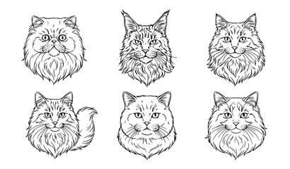 Fototapeta premium Long Haired Cat Portraits Black and White Line Art Vector Collection
