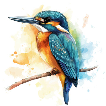 Kingfisher watercolor illustration, artistic semi-realistic fantasy style, soft glow effects, white background