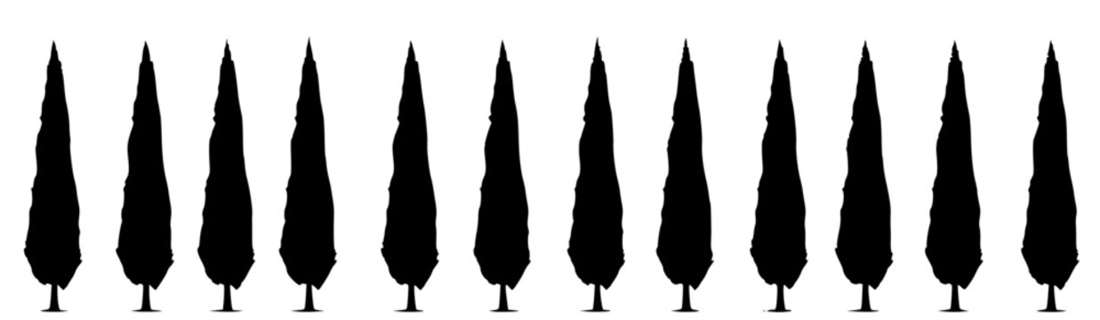 Cypress trees set with nine slender silhouettes featuring trees, row, symmetry, green and beige with minimalist style and flat vector