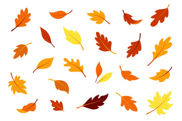 Fototapeta premium Set of colorful flat vector autumn leaves on white background