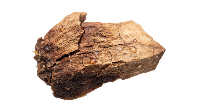 Natural agarwood piece with resin, aromatic oud wood chip for incense, organic gaharu timber for traditional perfumery isolated PNG with Transparent Background