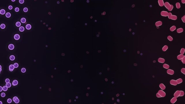 Purple Gram positive and pink Gram negative bacteria seamless loop