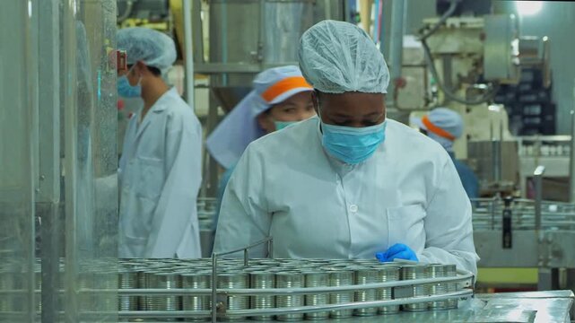 focused female specialist wearing protective hygienic workwear hairnet face mask carefully monitor inspect row can move along automated production conveyor belt inside clean modern food processing pac