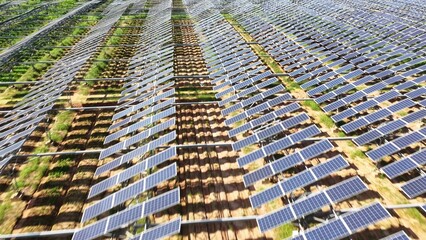 solar panels arranged in neat rows over agricultural farmland © zhangyang135769
