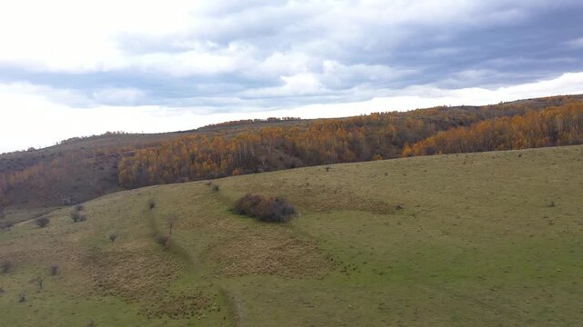 Golden fall foliage landscape under overcast sky aerial view