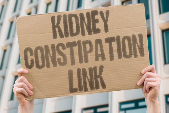 "Kidney constipation link" Bowel irregularity raises kidney disease risk. KIDNEY. CONSTIPATION. LINK. DISEASE. RISK.