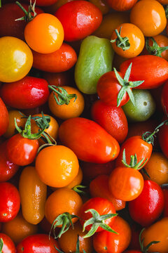 Tomates cerises