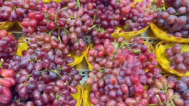 Assorted Fresh Grape Varieties on Supermarket Shelf &ndash; Green, Red and Black Seedless and Seeded Grapes in Different Sizes and Colors