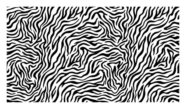Zebra stripe pattern with organic wavy lines in abstract black and white style