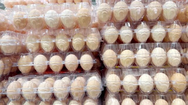 Egg Cartons Stacked on Supermarket Refrigerated Shelf &ndash; Assorted Chicken Eggs in Various Packaging Sizes