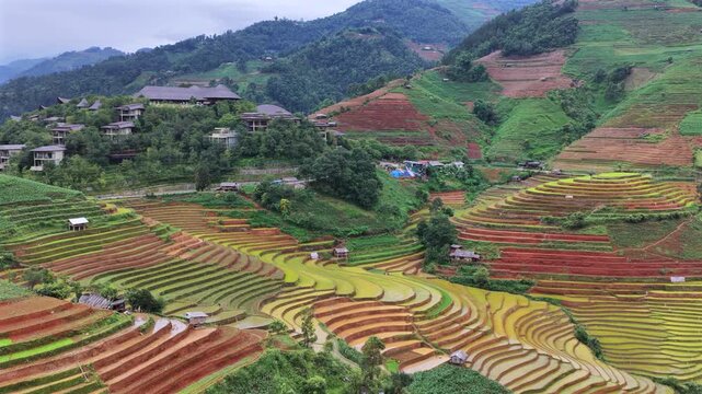Aerial drone view of morning light over terraced rice fields in Mu Cang Chai Vietnam