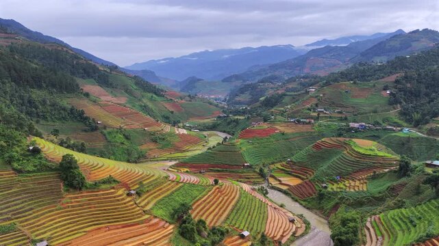 Aerial drone view of morning light over terraced rice fields in Mu Cang Chai Vietnam