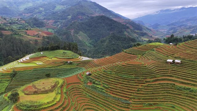 Aerial drone view of morning light over terraced rice fields in Mu Cang Chai Vietnam