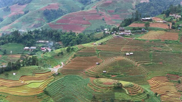 Aerial drone view of morning light over terraced rice fields in Mu Cang Chai Vietnam