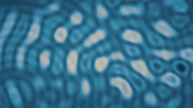 Abstract wave interference moire fringe ripple background seamless loop in rich blue tones