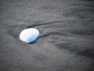 Single White Seashell on Dark Volcanic Beach Sand with Morning Light Textures © VidPhot