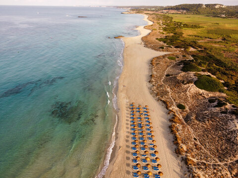Aerial view of Son Bou beach with rows of straw umbrellas and blue sun loungers on the sand, turquoise sea, and coastal vegetation in Son Bou, Illes Balears, Spain.