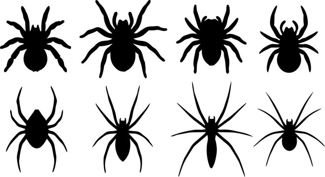 Spider silhouette vector set featuring various creepy arachnid insect designs