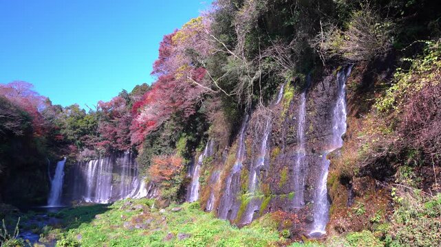 紅葉シーズンの白糸の滝