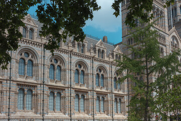 Obraz premium Banded terracotta facade of the Natural History Museum in London seen through tree branches against a clear blue summer sky.