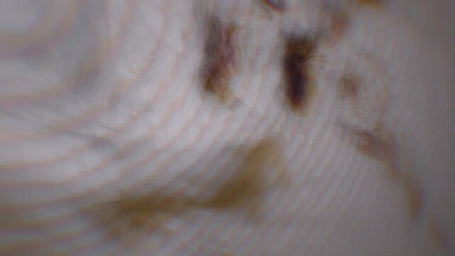 Distorted spectral patterns ripple across a hazy cosmic surface in a disorienting 3D render motion background for psychological thriller openers