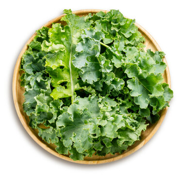 Fresh green kale leaves isolated on a white background, with clipping path, Perfect visual for healthy food marketing, detox juice branding, organic superfood concepts.