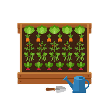Wooden raised garden bed with growing vegetable plants, watering can, and hand trowel, home agriculture concept