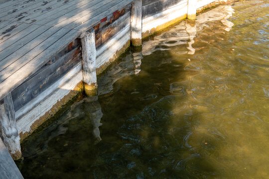 Weathered wooden dock structure at the edge of a lake, with support posts partly submerged in water, visible algae growth, ripples and reflections in warm sunlight.