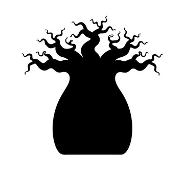 Baobab tree swollen trunk silhouette