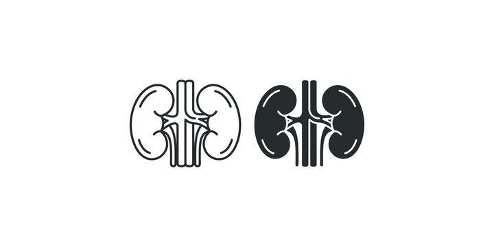 Human kidneys outlined and filled icons for medical and science concepts.