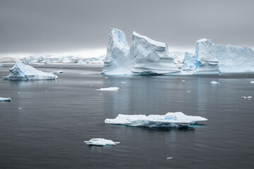 Bright icebergs and smaller ice floes drift across still polar water. © Tom