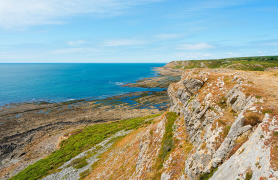 Along the limestone cliffs near Port Enyon, Wales.