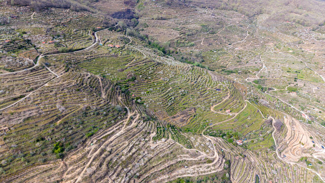 Aerial view of the terraced hillsides of Cabezuela del Valle, featuring agricultural land, stone walls, and winding dirt paths in the Jerte Valley, Cabezuela del Valle, Extremadura, Spain.