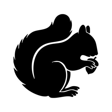 vector image of a squirrel