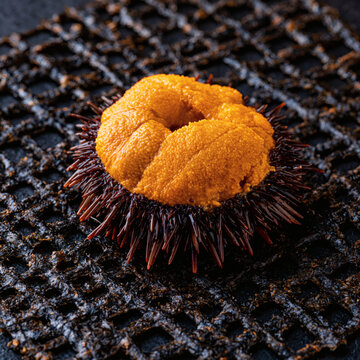 Ai generated sea urchin uni gonad on crispy dark nori seaweed sheet with delicacy, gastronomy