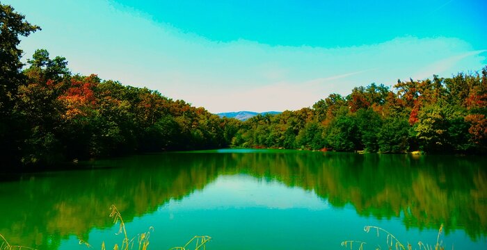 Green peaceful lake with autumn colorful trees and blue sky with water reflection, peaceful lakes background