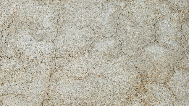 Close-up macro texture of a weathered, cracked surface showing intricate crazing patterns across aged concrete, cement render