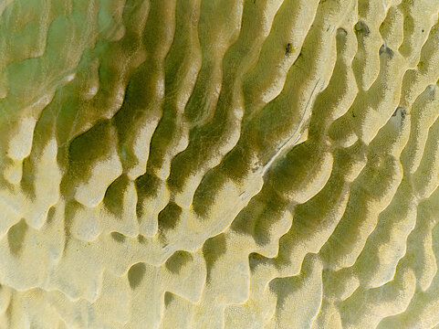 Aerial view of textured sand ripples and dunes forming natural patterns in the desert landscape of Rajshahi, Rajshahi Division, Bangladesh.