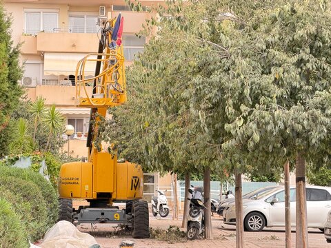 Mallorca, spain, august 30, 2026, yellow articulated boom lift parked by trees in calvia, balearic islands, indicating ongoing tree pruning work