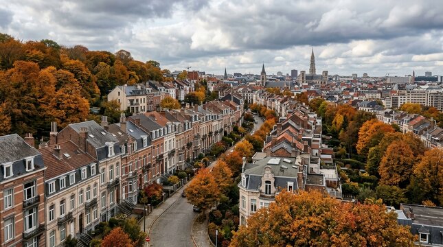 Aerial view of Brussels cityscape with historic buildings and autumn foliage during the day