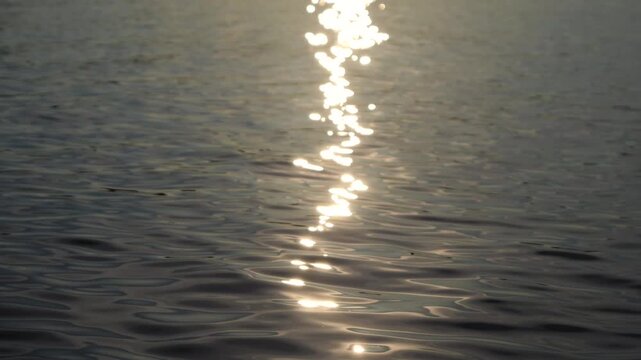 Sunlight reflects across the calm surface of a lake creating a bright shimmering path of light on the water